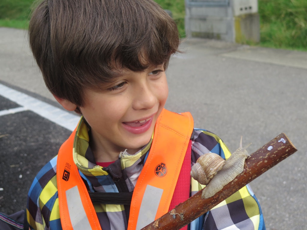 Kindergartentasche Flugsaurier